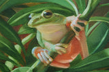 Oleander with a Tree Frog Canvas Giclee