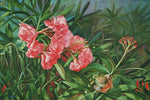 Oleander with a Tree Frog
